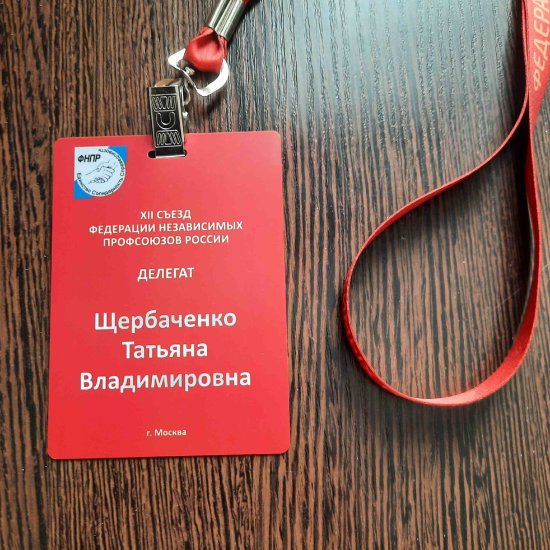 Председатель Ростовской областной организации профсоюза госучреждений примет участие в 12-м съезде ФНПР